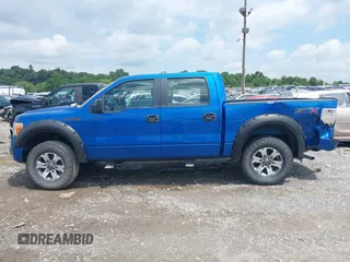 2014 Ford F-150 XL z VIN 1FTFW1EF4EFA08568, wystawiony jako IAAI lot #42594597 z przebiegiem 180 248 mil mil oraz . Historia ofert i sprzedaży dostępna na DreamBid. Obrazek 14.
