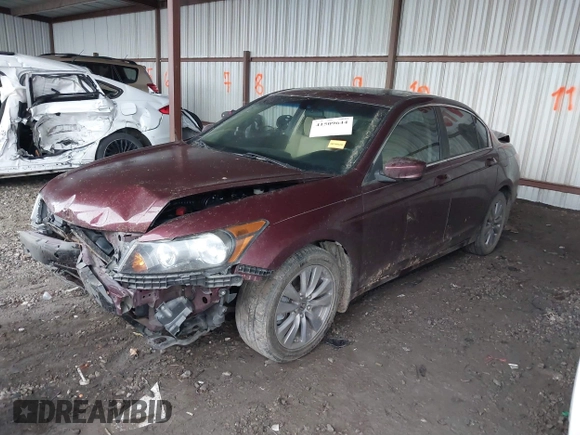 2011 Honda Accord EX with VIN 1HGCP2E76BA013019, listed as a IAAI auction lot 41509644 with 178,487 mi miles and . Bid and sale history available at DreamBid. Image 2.