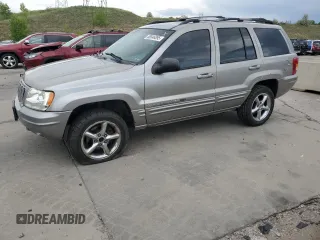 2001 Jeep Grand Cherokee Limited with VIN 1J4GW58N91C653866, listed as a Copart auction lot 58546895 with 159,661 mi miles and Salvage title. Bid and sale history available at DreamBid. Image 1.