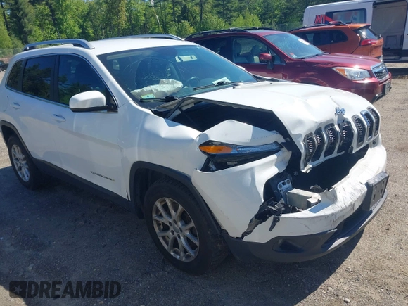 2017 Jeep Cherokee Latitude with VIN 1C4PJMCB6HW520731, listed as a IAAI auction lot 42299903 with 132,527 mi miles and . Bid and sale history available at DreamBid. Image 1.