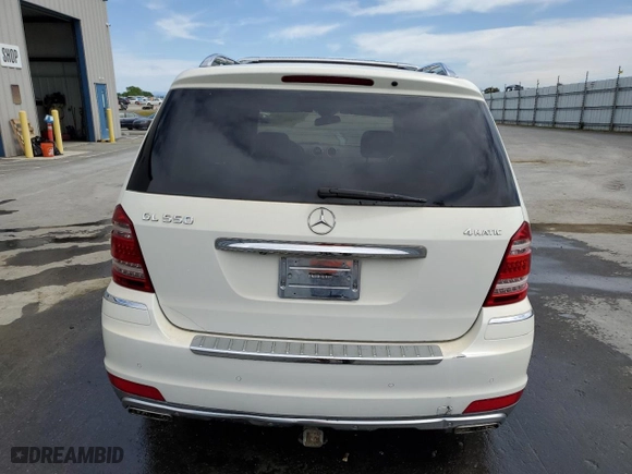 2010 Mercedes-Benz GL-Class GL 550 with VIN 4JGBF8GB9AA533534, listed as a Copart auction lot 52750025 with 171,030 mi miles and Clean Title. Bid and sale history available at carsss.com. Image 6.