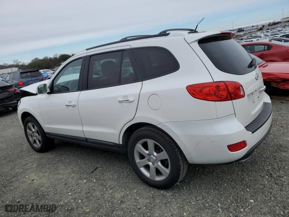 2009 Hyundai Santa Fe SE with VIN 5NMSH13EX9H252785, listed as a Copart auction lot 44768815 with 128,221 mi miles and Salvage Title. Bid and sale history available at carsss.com. Image 2.