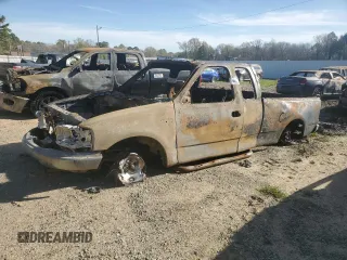 2002 Ford F-150 XL with VIN 1FTRX17232NA09345, listed as a Copart auction lot 49411175 with 0 mi miles and Salvage Title. Bid and sale history available at carsss.com. Image 1.