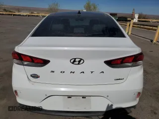 2019 Hyundai Sonata SEL with VIN 5NPE34AF5KH738048, listed as a Copart auction lot 49234445 with 62,075 mi miles and Salvage Title. Bid and sale history available at DreamBid. Image 6.