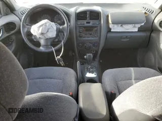 2003 Hyundai Santa Fe GLS with VIN KM8SC73D03U441496, listed as a Copart auction lot 49159235 with 183,385 mi miles and Salvage Title. Bid and sale history available at carsss.com. Image 8.