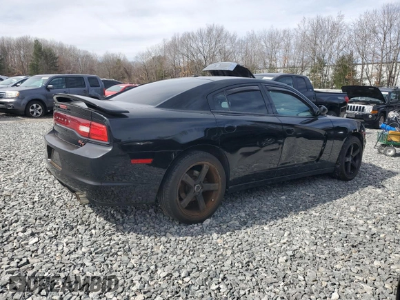 2011 Dodge Charger RT Plus with VIN 2B3CM5CT5BH611095, listed as a Copart auction lot 49304165 with 123,066 mi miles and Clean Title. Bid and sale history available at carsss.com. Image 3.