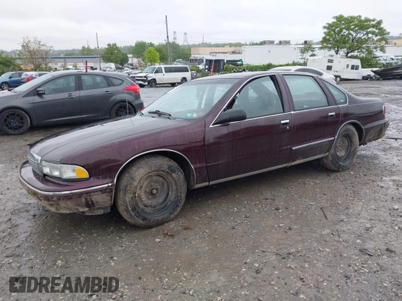 1995 Chevrolet Caprice with VIN 1G1BL52P7SR176512, listed as a IAAI auction lot 42231251 with Not provided miles and . Bid and sale history available at DreamBid. Image 2.