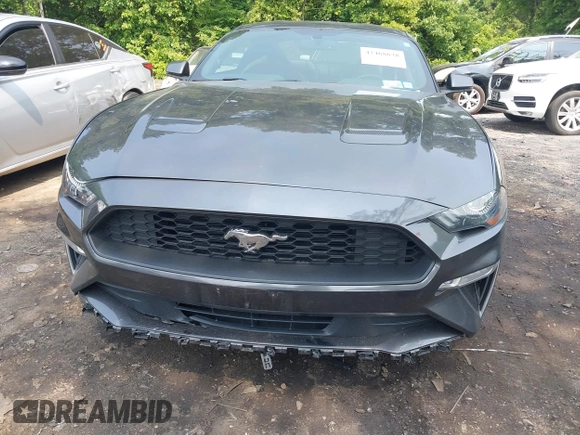 2019 Ford Mustang EcoBoost with VIN 1FA6P8TH0K5172014, listed as a IAAI auction lot 42468638 with 66,830 mi miles and . Bid and sale history available at DreamBid. Image 12.