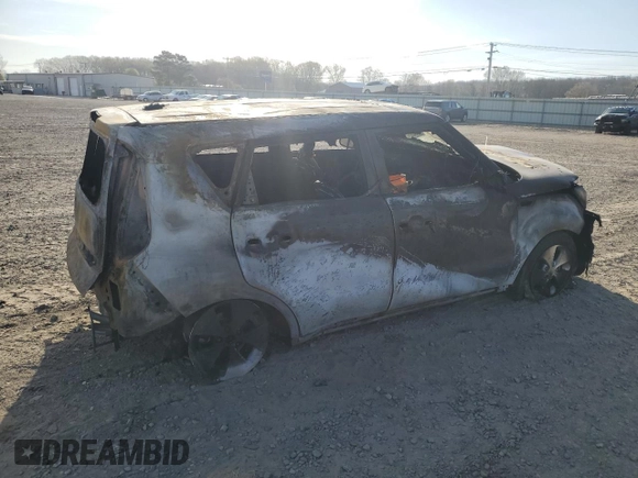 2016 Kia Soul with VIN KNDJN2A24G7250828, listed as a Copart auction lot 50079135 with 0 mi miles and Non Repairable. Bid and sale history available at carsss.com. Image 3.