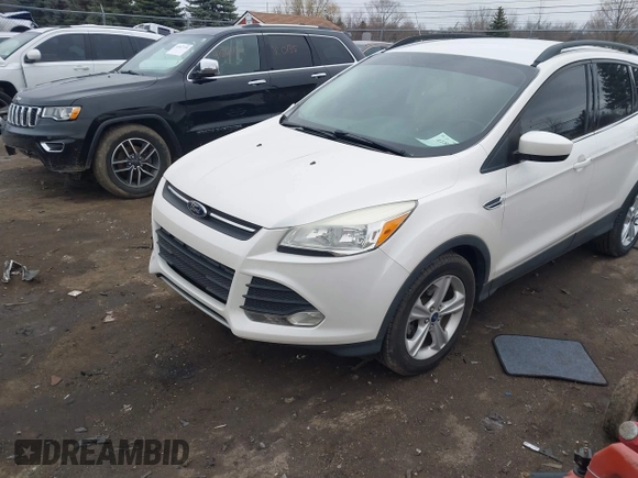 2014 Ford Escape SE with VIN 1FMCU0GX6EUE38280, listed as a IAAI auction lot 41867267 with 152,271 mi miles. Bid and sale history available at carsss.com. Image 17.