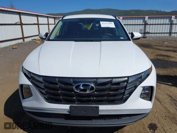 2024 Hyundai Tucson SEL with VIN 5NMJB3DE8RH421998, listed as a IAAI auction lot 42217680 with 18,876 mi miles and . Bid and sale history available at DreamBid. Image 13.