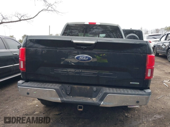 2018 Ford F-150 XL with VIN 1FTEW1EP8JFC58832, listed as a IAAI auction lot 41663026 with 134,760 mi miles. Bid and sale history available at carsss.com. Image 16.