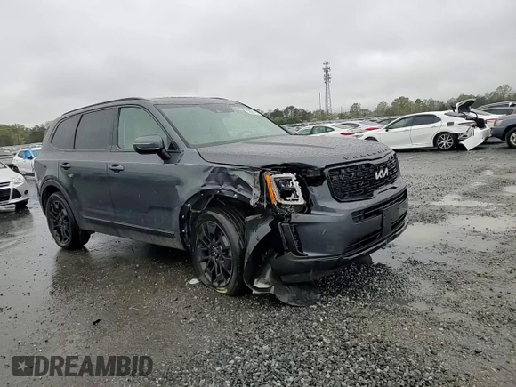 2022 Kia Telluride EX with VIN 5XYP3DHC2NG255732, listed as a Copart auction lot 52604795 with 32,117 mi miles and Salvage title. Bid and sale history available at DreamBid. Image 11.