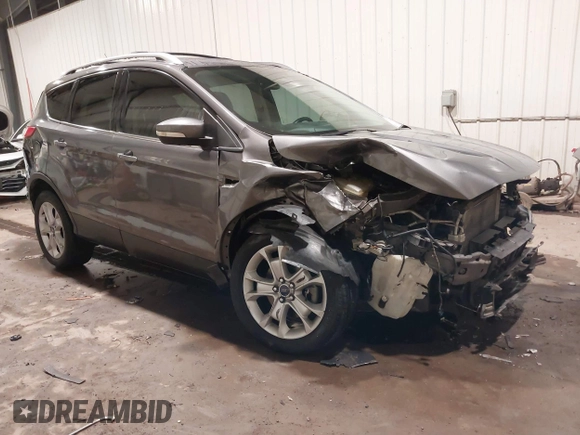 2014 Ford Escape Titanium with VIN 1FMCU9JX9EUA56421, listed as a IAAI auction lot 41392372 with 117,234 mi miles. Bid and sale history available at carsss.com. Image 1.