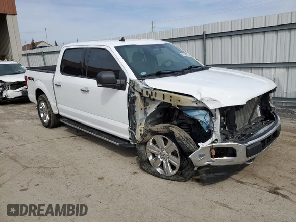 2020 Ford F-150 XL with VIN 1FTEW1EP1LKF36366, listed as a Copart auction lot 50186345 with 44,947 mi miles and Salvage Title. Bid and sale history available at DreamBid. Image 4.