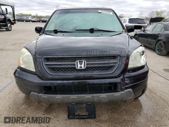 2005 Honda Pilot EX with VIN 5FNYF18495B001591, listed as a Copart auction lot 53043035 with 181,887 mi miles and Salvage Title. Bid and sale history available at carsss.com. Image 5.