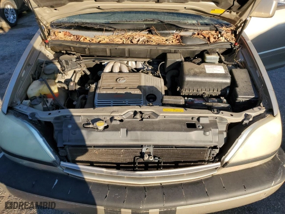 2002 Lexus RX 300 with VIN JTJGF10U020146503, listed as a Copart auction lot 85941434 with 202,545 mi miles and Salvage Title. Bid and sale history available at carsss.com. Image 12.