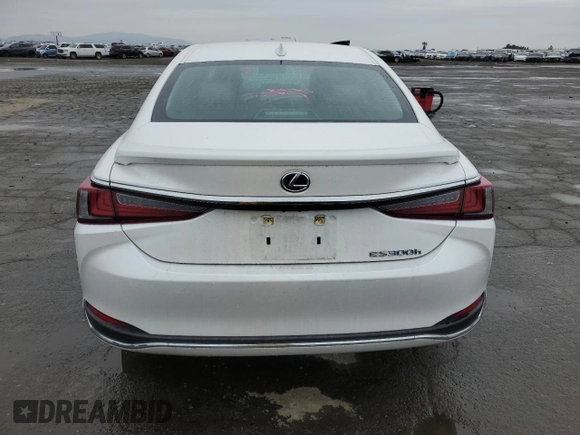 2021 Lexus ES with VIN 58ACA1C11MU012343, listed as a Copart auction lot 43613565 with 41,160 mi miles and Salvage Title. Bid and sale history available at carsss.com. Image 6.