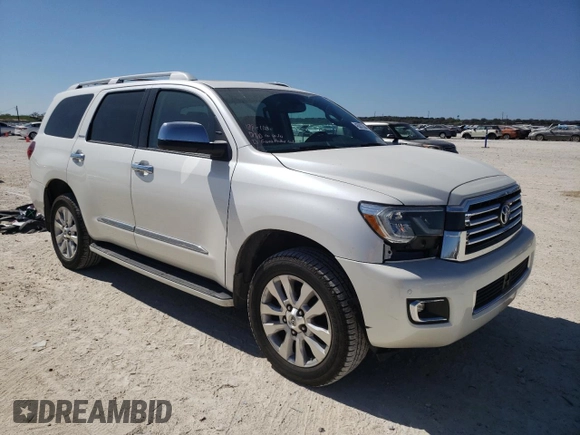 2019 Toyota Sequoia Platinum with VIN 5TDDY5G1XKS173918, listed as a Copart auction lot 45307304 with 63,343 mi miles. Bid and sale history available at carsss.com. Image 4.