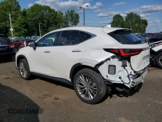 2024 Lexus NX 350 Luxury with VIN 2T2HGCEZ1RC048676, listed as a Copart auction lot 58994635 with 13,229 mi miles and Salvage title. Bid and sale history available at DreamBid. Image 2.