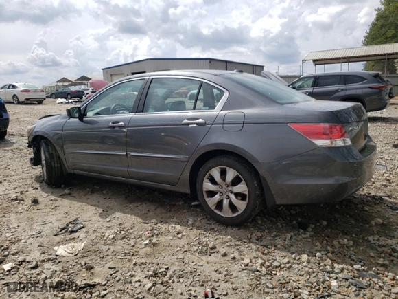 2009 Honda Accord Sdn EX-L with VIN 1HGCP26849A018690, listed as a Copart auction lot 48239185 with 203,010 mi miles and Salvage Title. Bid and sale history available at carsss.com. Image 2.