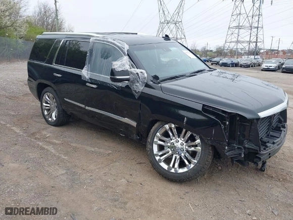 2019 Cadillac Escalade Premium Luxury with VIN 1GYS4CKJ5KR131129, listed as a IAAI auction lot 41983905 with 32,568 mi miles. Bid and sale history available at carsss.com. Image 1.