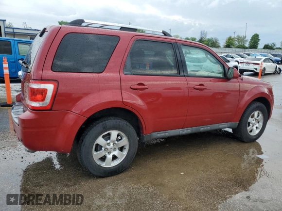 2010 Ford Escape Limited with VIN 1FMCU0E71AKB54080, listed as a Copart auction lot 55175795 with 246,064 mi miles and Salvage title. Bid and sale history available at DreamBid. Image 3.