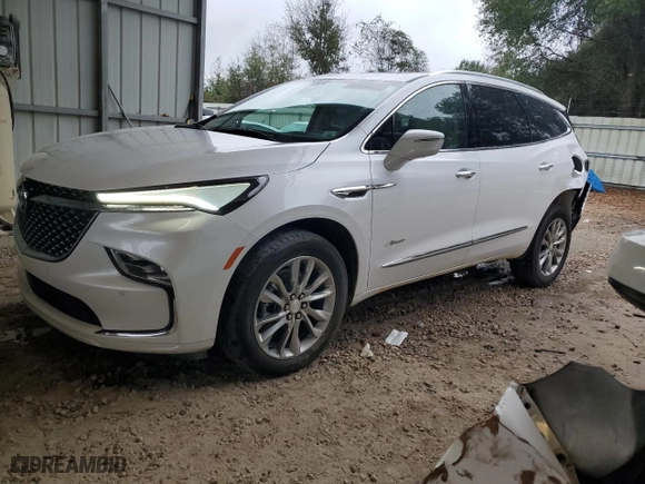 2022 Buick Enclave Avenir with VIN 5GAERDKW5NJ154596, listed as a Copart auction lot 44109785 with NaN miles and Non Repairable. Bid and sale history available at carsss.com. Image 1.