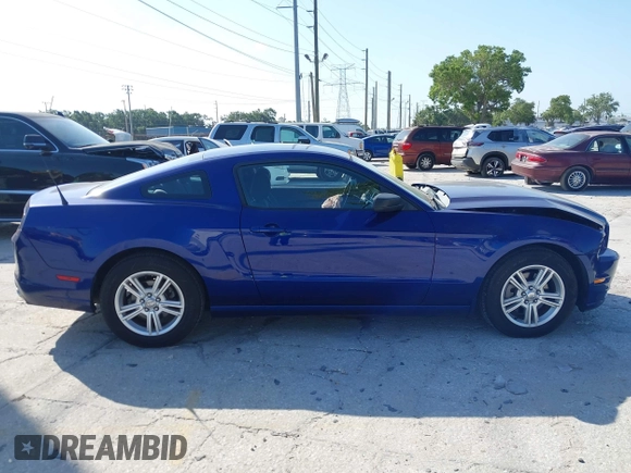 2013 Ford Mustang V6 with VIN 1ZVBP8AM5D5262560, listed as a IAAI auction lot 42136648 with 71,301 mi miles and . Bid and sale history available at carsss.com. Image 13.