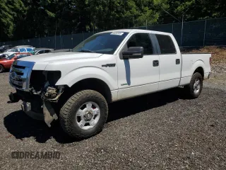 2011 Ford F-150 XLT with VIN 1FTFW1ET1BFB45761, listed as a Copart auction lot 64660595 with 240,317 mi miles and Salvage title. Bid and sale history available at DreamBid. Image 1.