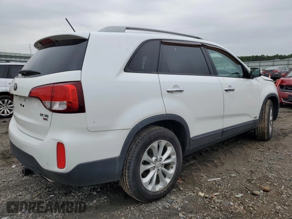 2014 Kia Sorento EX with VIN 5XYKUDA79EG445743, listed as a Copart auction lot 58472615 with 110,019 mi miles and Salvage title. Bid and sale history available at DreamBid. Image 3.
