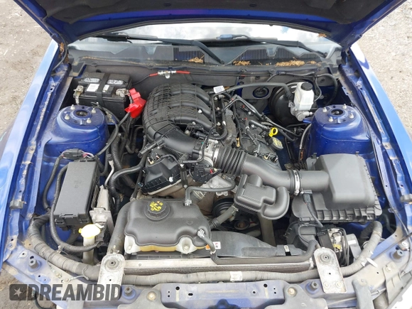 2013 Ford Mustang V6 with VIN 1ZVBP8AM4D5227735, listed as a IAAI auction lot 42395404 with 133,488 mi miles and . Bid and sale history available at DreamBid. Image 10.