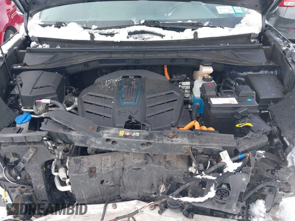 2019 Kia Niro EV EX Premium with VIN KNDCE3LG2K5019941, listed as a IAAI auction lot 41502482 with 70,088 mi miles. Bid and sale history available at carsss.com. Image 10.