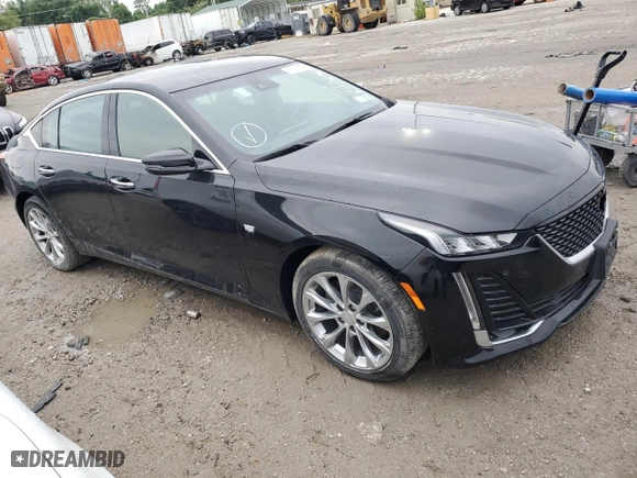 2022 Cadillac CT5 Premium Luxury with VIN 1G6DN5RKXN0121584, listed as a Copart auction lot 67305094 with 0 mi miles and Salvage Title. Bid and sale history available at carsss.com. Image 4.