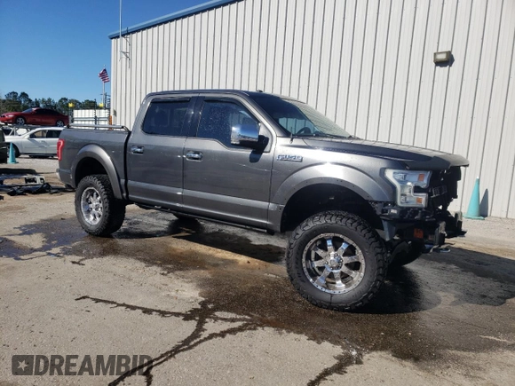 2016 Ford F-150 XLT with VIN 1FTEW1EF2GFA19213, listed as a Copart auction lot 49308655 with 122,838 mi miles and Salvage Title. Bid and sale history available at DreamBid. Image 4.