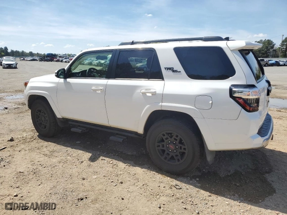 2019 Toyota 4Runner SR5 with VIN JTEBU5JR3K5731949, listed as a Copart auction lot 50256505 with 99,390 mi miles and Salvage Title. Bid and sale history available at carsss.com. Image 2.