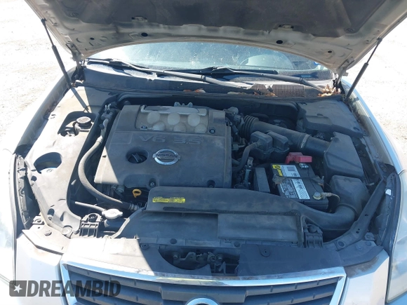 2008 Nissan Maxima SE with VIN 1N4BA41EX8C803390, listed as a IAAI auction lot 41592130 with 132,468 mi miles and . Bid and sale history available at DreamBid. Image 10.
