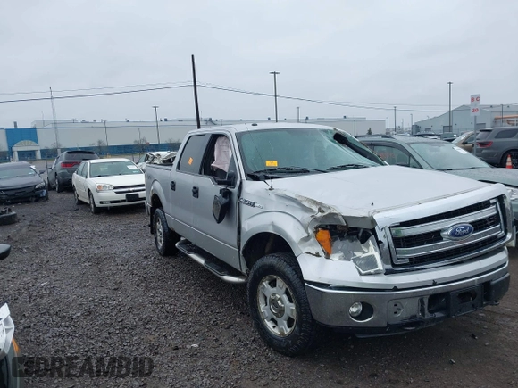 2014 Ford F-150 XL with VIN 1FTFW1EFXEKF79876, listed as a IAAI auction lot 42011856 with 161,366 mi miles and . Bid and sale history available at carsss.com. Image 6.