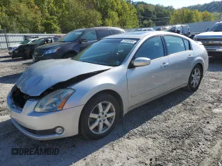 2006 Nissan Maxima 3.5 SE with VIN 1N4BA41EX6C818873, listed as a Copart auction lot 73162304 with 0 mi miles and Salvage Title. Bid and sale history available at carsss.com. Image 1.