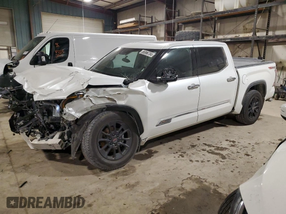 2022 Toyota Tundra 1794 Edition with VIN 5TFMA5DB0NX009609, listed as a Copart auction lot 86996704 with 79,697 mi miles and Salvage title. Bid and sale history available at DreamBid. Image 1.