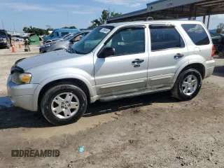 2007 Ford Escape XLT with VIN 1FMYU03137KB70360, listed as a Copart auction lot 70698654 with 114,353 mi miles and Non Repairable. Bid and sale history available at carsss.com. Image 1.