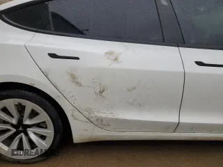 2023 Tesla Model 3 z VIN 5YJ3E1EA9PF510588, wystawiony jako Copart lot #51860125 z przebiegiem Nie podano mil oraz Czysty tytuł • Clean title. Historia ofert i sprzedaży dostępna na DreamBid. Obrazek 10.