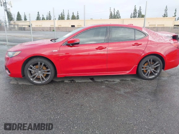 2019 Acura TLX w/A-Spec Pkg with VIN 19UUB1F60KA003573, listed as a IAAI auction lot 41578850 with 48,055 mi miles. Bid and sale history available at carsss.com. Image 14.