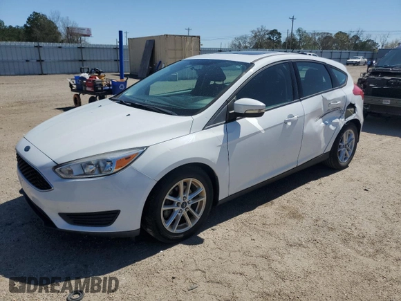2015 Ford Focus SE with VIN 1FADP3K23FL385354, listed as a Copart auction lot 49292895 with 44,876 mi miles and Salvage Title. Bid and sale history available at carsss.com. Image 1.