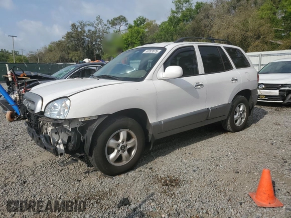 2005 Hyundai Santa Fe GLS with VIN KM8SC13EX5U870637, listed as a Copart auction lot 50283575 with 135,060 mi miles and Salvage Title. Bid and sale history available at carsss.com. Image 1.