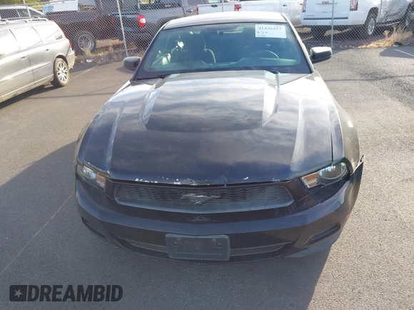 2011 Ford Mustang V6 with VIN 1ZVBP8AM4B5116826, listed as a IAAI auction lot 41436357 with 121,700 mi miles and . Bid and sale history available at carsss.com. Image 6.