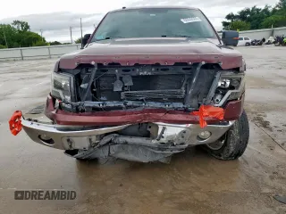 2009 Ford F-150 XL with VIN 1FTRW128X9FA32446, listed as a Copart auction lot 60648505 with 210,587 mi miles and Salvage title. Bid and sale history available at DreamBid. Image 5.