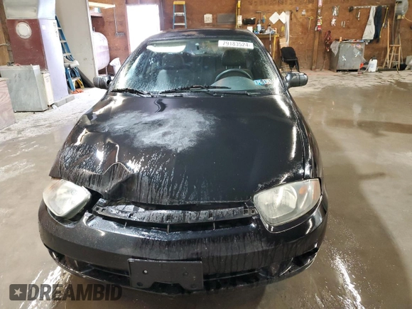 2004 Chevrolet Cavalier with VIN 1G1JC52F047373619, listed as a Copart auction lot 79183524 with 0 mi miles and Salvage Title. Bid and sale history available at carsss.com. Image 5.
