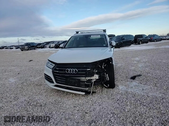 2020 Audi Q5 Premium Plus with VIN WA1E2AFY2L2080987, listed as a Copart auction lot 89344955 with 55,463 mi miles and Salvage title. Bid and sale history available at DreamBid. Image 11.