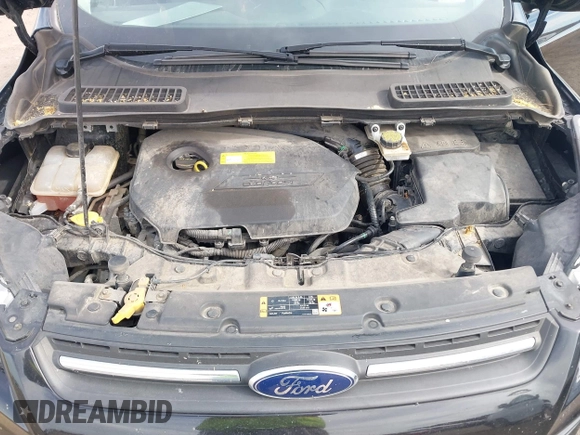 2016 Ford Escape SE with VIN 1FMCU0GX4GUC56208, listed as a IAAI auction lot 42173482 with 124,325 mi miles and . Bid and sale history available at carsss.com. Image 10.